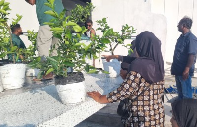 ނައިފަރުގެ ގޭގެއަށް 900 އެއްހާ ލުނބޯ ގަސް ހަދިޔާކޮށްފި