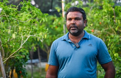 މާފަރުގެ ދަނޑުތައް ރޯދައަށް ފައްކާވެފައި، ނެތީ ވިއްކޭނެ ގޮތެއް!