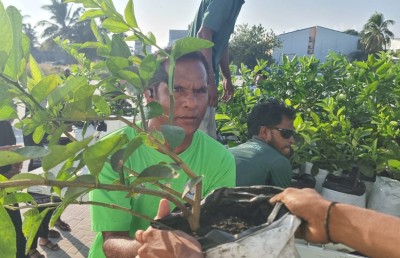 ނައިފަރުގެ ގޭގެއަށް 900 އެއްހާ ލުނބޯ ގަސް ހަދިޔާކޮށްފި