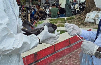 ބައްޔެއް ޖެހި މަރުވެފައިވާ ކޮތަރު މާލޭން ފެންނާތީ، ތަހުލީލު ކުރަން ފަށައިފި