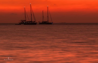 ގިނަ ޔޮޓްތައް "ސަވާދީއްތަ ދަތުރު" ގައި ބައިވެރިނުވެ އެނބުރި ދަނީ