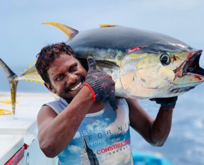 ބޮޑު ކަންނެލި މަސްވެރިން މާޔޫސްވެއްޖެ: ޒަމާންވީ ކަންބޮޑުވުންތަކަށް ހައްލެއް ނެތް!