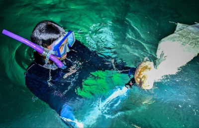 ކަނޑުފަޅު ފީނައިގެން އަފްރާހް މި ނަގަނީ "ފައިސާ"