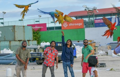 ދޫނިތައް މަރާނުލައި، ހެދޭނެ ގޮތްތައް ނައީމްގެ ވިސްނުމުން