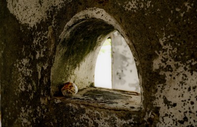 ފޮޓޯ ސްޓޯރީ: ވާހެދިފައި ވިޔަސް މިއީ އަގުހުރި ތަރިކައެއް