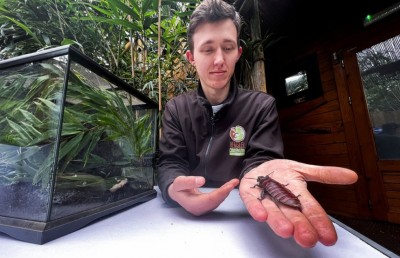 ކުރީގެ ލޯބިވެރިޔާގެ ނަން ކުރަތްޕަކަށް ދެވޭ ގޮތް ހަދައިފި