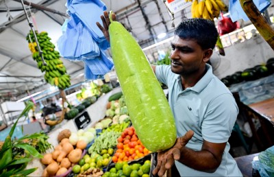 މި ފަހަރު އެންމެ ޑިމާންޑު ބޮޑު އެއް ބާވަތަކީ ގިއްސާ!