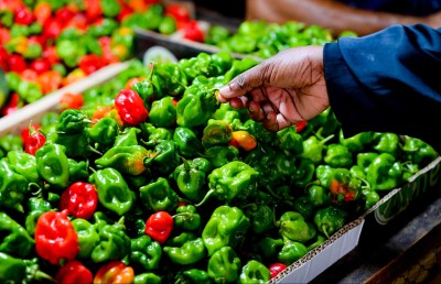 ކަނޑޫދޫ ކިޔަސް މާރުކޭޓުގައި އޮތީ ލާމު މިރުސް