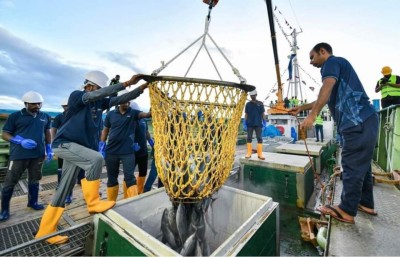 މިފްކޯއިން އަލަށް ގެނައި "ޖަޒީރާ 103" ބޯޓުން މަސްކިރަން ފަށައިފި
