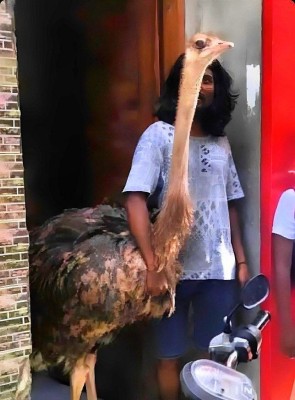 އޮސްޓްރިޗް ގެންގުޅެނީ ހުއްދަ ނަގައިގެން، ރާއްޖެ އެތެރެކުރީ 24 ދޫނި