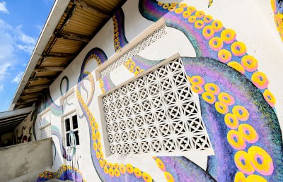 ރިނބުދޫ އިން އެހެން މަންޒަރެއް