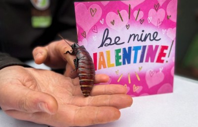 ކުރީގެ ލޯބިވެރިޔާގެ ނަން ކުރަތްޕަކަށް ދެވޭ ގޮތް ހަދައިފި