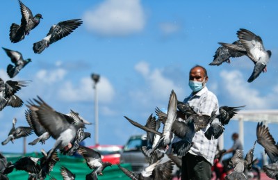 ފޮޓޯ ސްޓޯރީ: ކޮތަރުތަކުގެ އެންމެ ގާތް އެކުވެރިޔާ