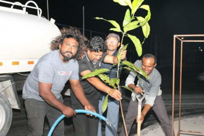 ރަށުން ނެތެމުންދާ އަނބު ގަސް އާލާ ކުރަން ހޯރަފުށީ ރައްޔިތުންގެ ކަމަރު ބަނދެލައިފި