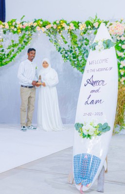 ނަސޯފާގެ އާޓުގެ ދުނިޔެ ސްކޫލްތެރެއަށް