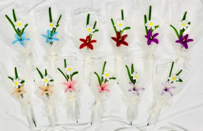 ނަސޯފާގެ އާޓުގެ ދުނިޔެ ސްކޫލްތެރެއަށް