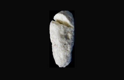 ފިޔޯރީގެ ފަޅުތެރެއިން "މާވަހަރެއް" ފެނިއްޖެ