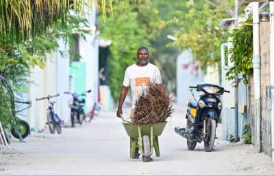 ކުށާއި ކުނިން ސާފު ހެނބަދޫގެ ހިތް ވެސް އެހާ ސާފު