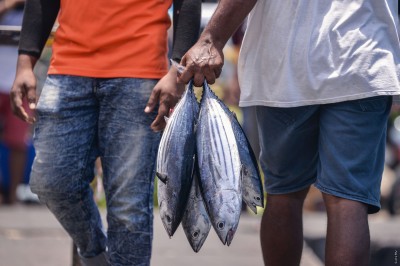 ޑިއުޓީއާ ނުލާ ޔޫރަޕަށް މަސް އެކްސްޕޯޓު ކުރެވޭ މަގު ފަހިކުރަނީ