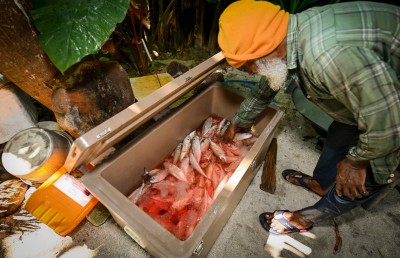 ދިރިއުޅުމުގެ ކާމިޔާބު ދަތުރެއްގެ ހުންގާނުގައި އަނބިމީހާ