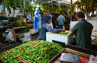 ބާޒާރުގައި މިރުހުގެ އަގު ދަށަށް