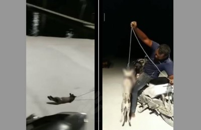 ބުޅަލެއް ދަންޖައްސައި މަގުމަތީ ދަމަނިކޮށް ފެންނަ ވީޑިއޯއެއް