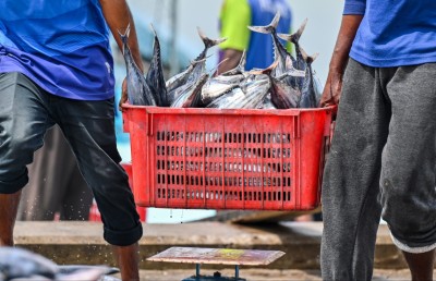 ޔޫއެސް ޓެރިފް: ރާއްޖޭގެ އެކްސްޕޯޓަރުން އަސަރެއް ނުކުރާނެ، އެކަމަކު ފައިދާއެއް ހޯދިދާނެ