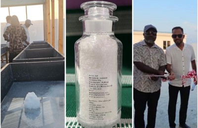 ދިއްދޫގައި ލޮނު އުފައްދައި ޖަޕާނަށް އެކްސްޕޯޓްކުރަނީ