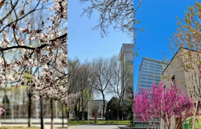 ބެއިޖިންގެ ބަހާރުން، ޗޮންޗިންގެ ދެގުނަ އުފާވެރިކަަމަށް