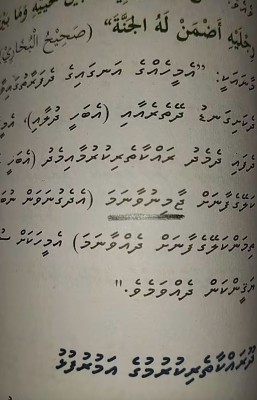 އިސްލާމް ޕޭޕަރުން ދަރިވަރުން "ޖާމިނު" ނުވި ސުވާލު ސޯޝަލްމީޑިއާއަށް