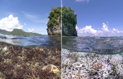 ގާ ހުދުވުން: ދުނިޔޭގެ ފަރުތަކުގެ 84 ޕަސެންޓަށް ފެތުރި ނާޒުކު ހާލަތަކަށް ވެއްޓިއްޖެ