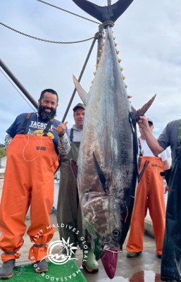 ރާއްޖޭގެ ސްޕޯޓްސް ފިޝިންގެ އެމްބެސެޑަރަކަށް "ފްލައި" ނަވާރޯ ހަމަޖައްސައިފި