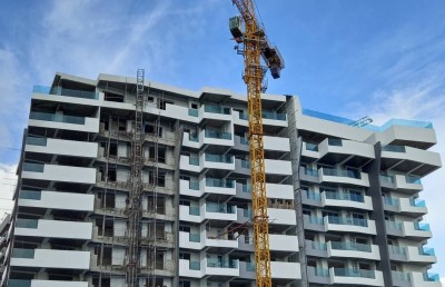 ބިން ހަވާލުކުރުން ހުއްޓުވަން ޖާހުން އެދުނު އަމުރެއް ނުދިން