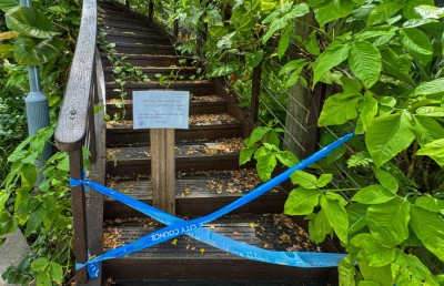 ސަލްޓަން ޕާކު ސާފު ކުރުމާއި ޕްލޭނިންގެ މަސައްކަތް ކުރިއަށް އެބަދޭ: މިނިސްޓަރު