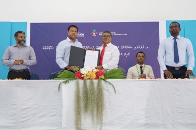 މާވަށުގައި އައިސްޕްލާންޓަކާއި ކޯލްޑް ސްޓޯރޭޖެއް ގާއިމު ކުރަން ފެނަކައަށް