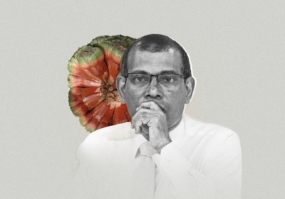 ރޫޅާލަން އުޅެނިކޮށް ރޫޅެނީ!