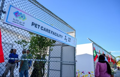 އޮޅުހިޔާ އެއް އަހަރަށް ހިންގާނެ ބަޔަކު ހޯދަނީ