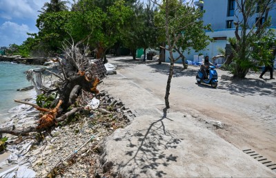 ވިލިމާލެ ގިރަނީ: ބަލަން ހުއްޓާ އެ ވެއްޓުނީ އަމިއްލަ އަތުން އިންދި ގަސް!