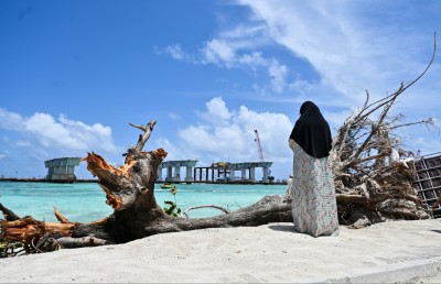 ވިލިމާލެ ގިރަނީ: ބަލަން ހުއްޓާ އެ ވެއްޓުނީ އަމިއްލަ އަތުން އިންދި ގަސް!