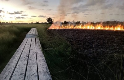 މީދޫ މަތިކިޅިއަށް ގެއްލުންދޭން ބަޔަކު ރޯކޮށްލިކަމުގެ ތުހުމަތު