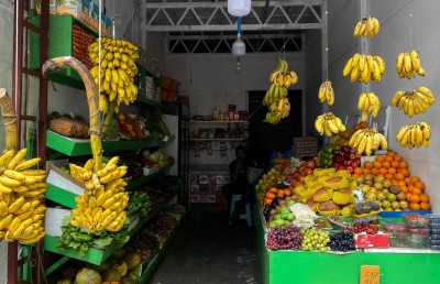 އިރުއޮއްސުމުގެ ކުރިން ކަރަންޓު ދެވޭނެ: ސްޓެލްކޯ