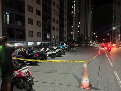 ހިޔާ ފްލެޓުން ވެއްޓުނު ކުއްޖާ ނިޔާވެއްޖެ