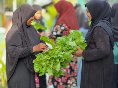 ވެލްނެސް މެޓާސްގެ ''ޕްލާންޓް އަ ޓްރީ'' މަޝްރޫއަށް އެއް އަހަރު، ކުލަގަދަކޮށް ފާހަގަކުރަނީ