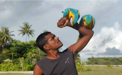 އިޒްރޭލަށް ތާއީދުކުރުމުން ކަމަށް ބުނެ އަޒްނިލްއަށް ހަމަލާދޭން އުޅެފި