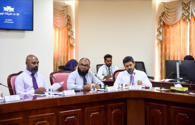 ޕިރަމިޑް ސްކީމްތަކާއި ޖުވާ ކުޅޭ ޕްލެޓްފޯމްތަކާއި ސްކޭމްގެ މައްސަލަތައް ވެސް މަޖިލީހުން ބަލަނީ