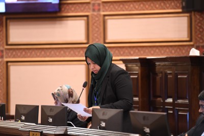 އިތުބާރުގެ މައްސަލަ އަލުން އެޖެންޑާކުރުމުގެ ބާރެއް އަމީންއާއްމަށް ނޯންނާނެ: އީވާ