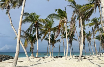 ނުހެދި ދިގުލައިގެން ގޮސްފައިވާ ހަންކެޑެ އެންމެ ފަހުން ހަލާލު ޓޫރިޒަމަށް