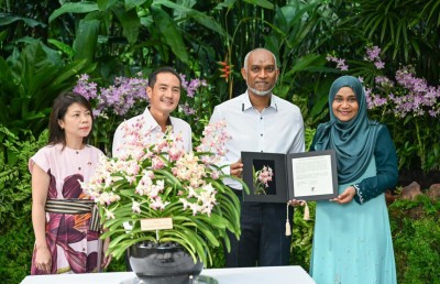 ރައީސްގެ ދެކަނބަލުންގެ ނަމަށް ނިސްބަތްކޮށް ސިންގަޕޫރުގައި އޯކިޑަކަށް ނަން ދީފި