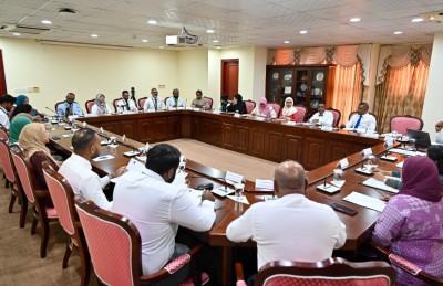 އައިޖީއެމްއެޗާ ގުޅުވާލައި، ދެ ސަރަހައްދެއްގައި ޓެލެ މެޑިސިން ފަށަން ތައްޔާރުވެއްޖެ