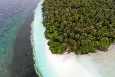 ގާދޫގައި ބަނދަރެއް އަޅައިފިނަމަ ދިރުންތައް ނެތިދާނެ ކަމުގެ ބިރުބޮޑު: އިކޯކެއާ